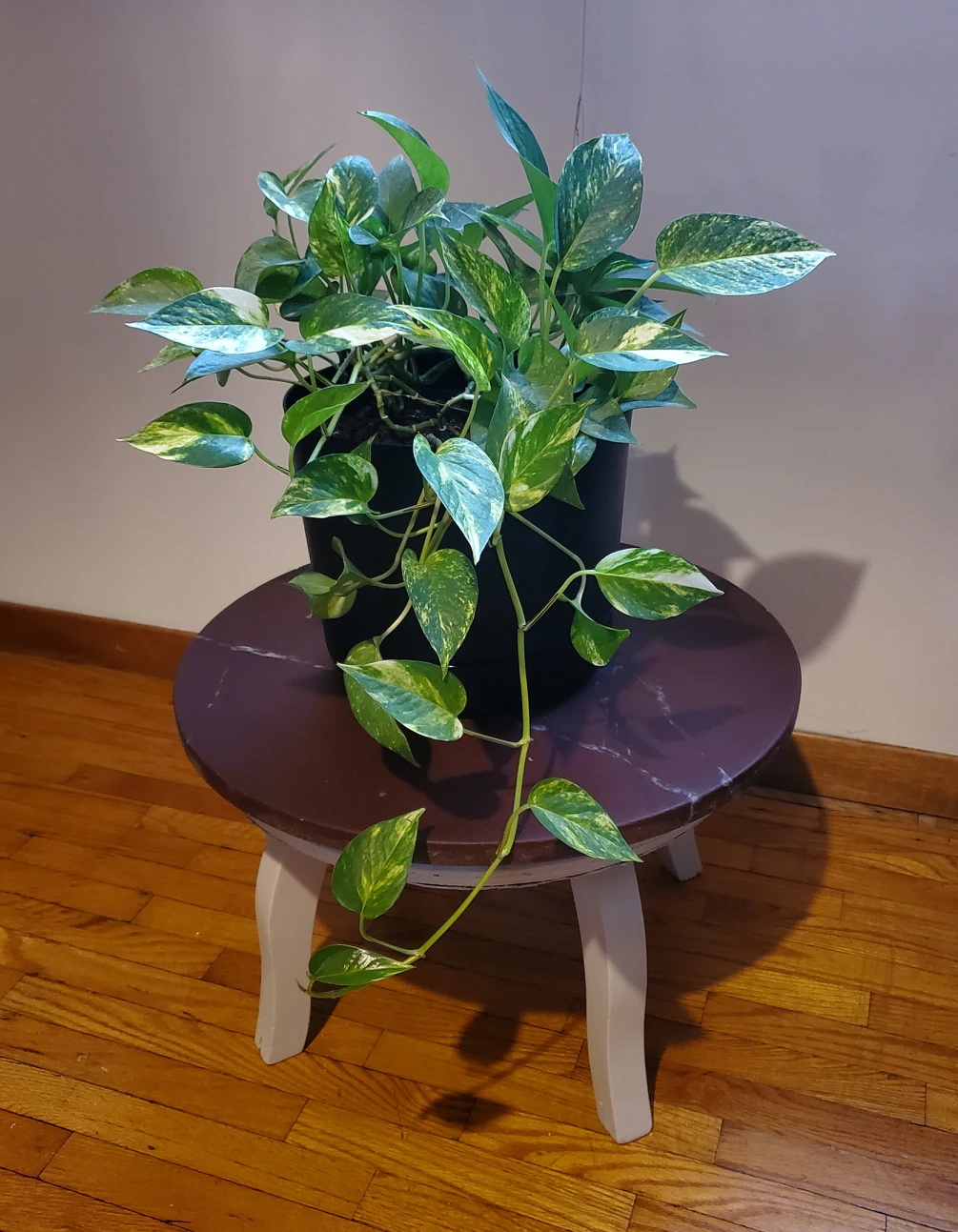Stone/marble plant stand thumbnail