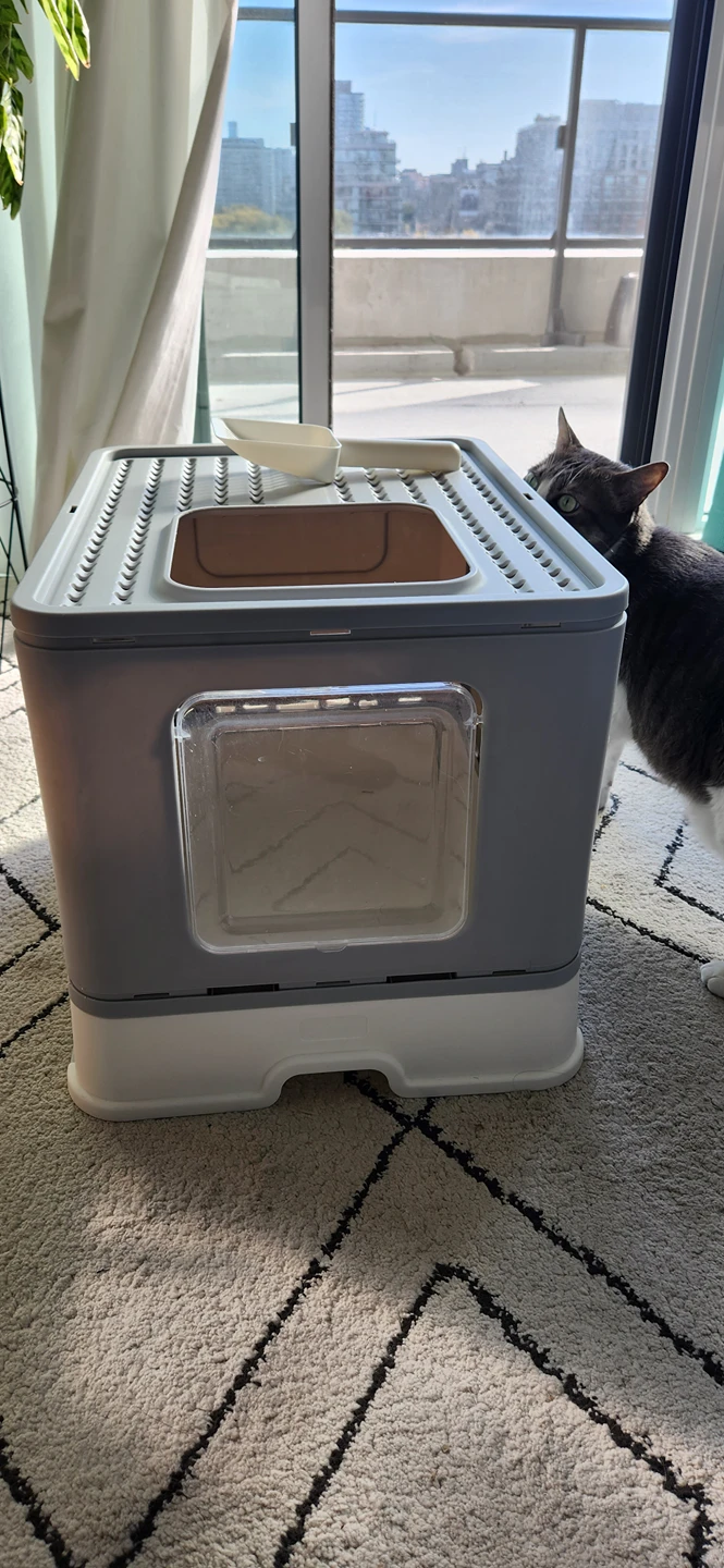 Cat Litter Box