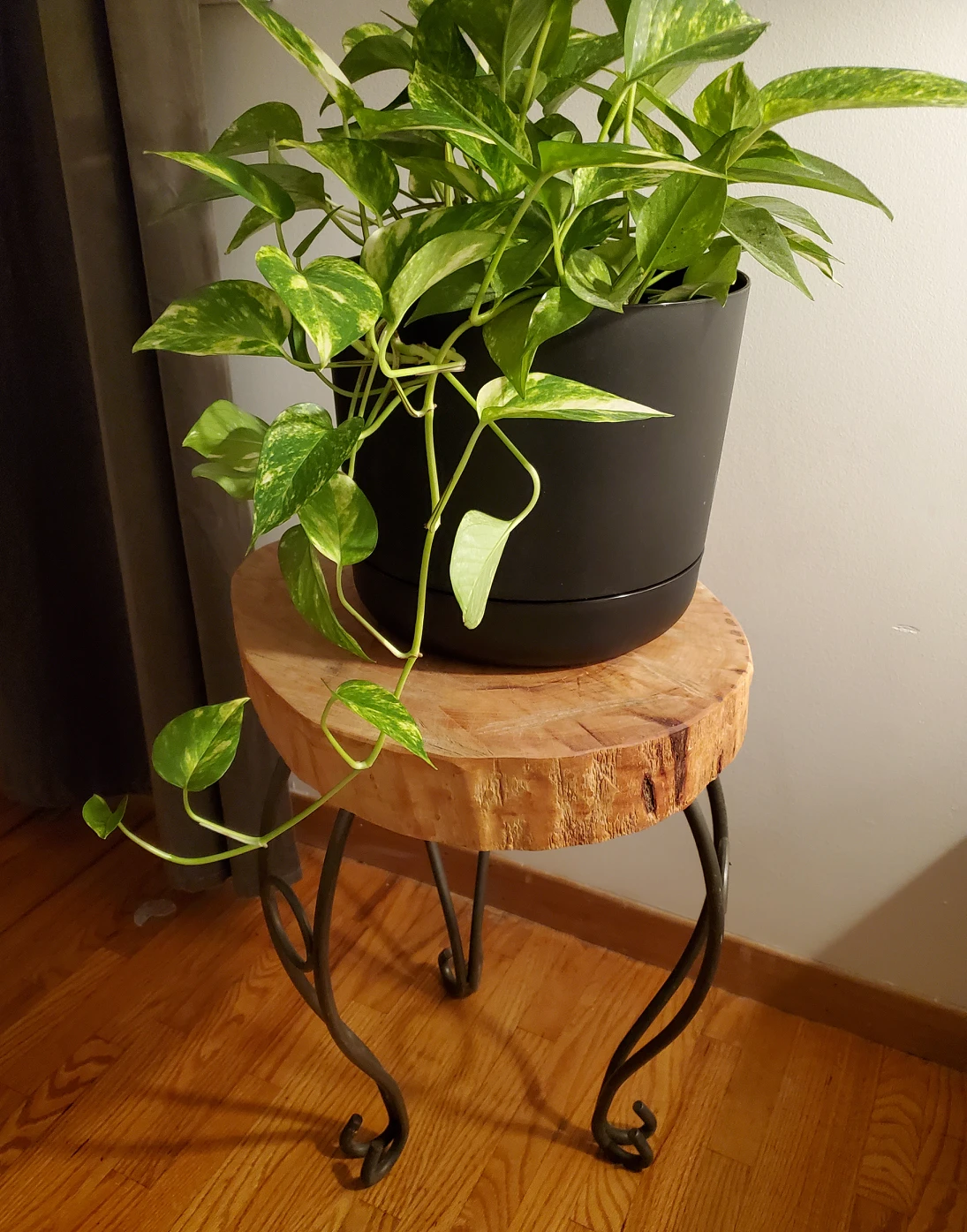 Plant stand/ Side table