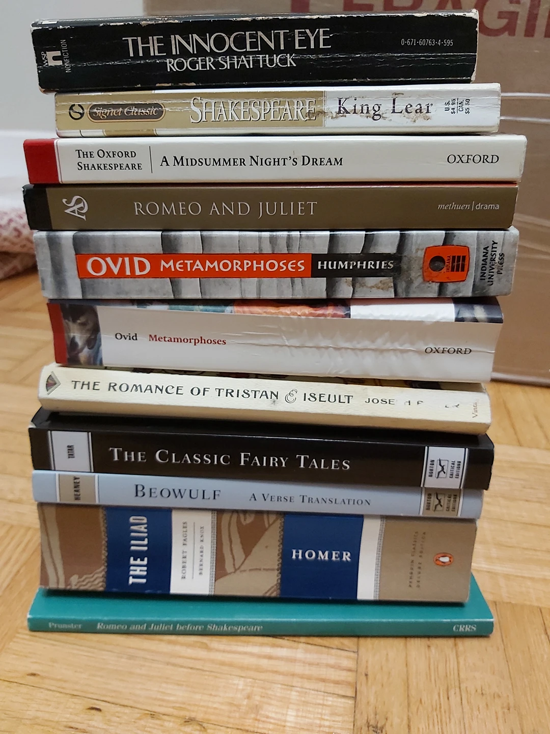 English Literature Book Bundle for ONLY $2!!! thumbnail