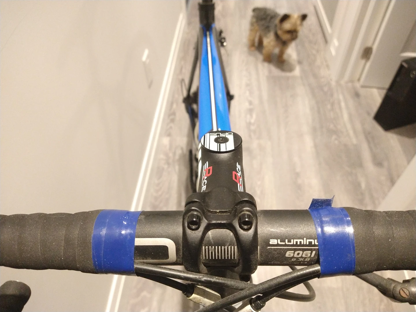 Opus Full Carbon 56" Frame Bicycle with Shimano 105 Groupset image indicator(4)