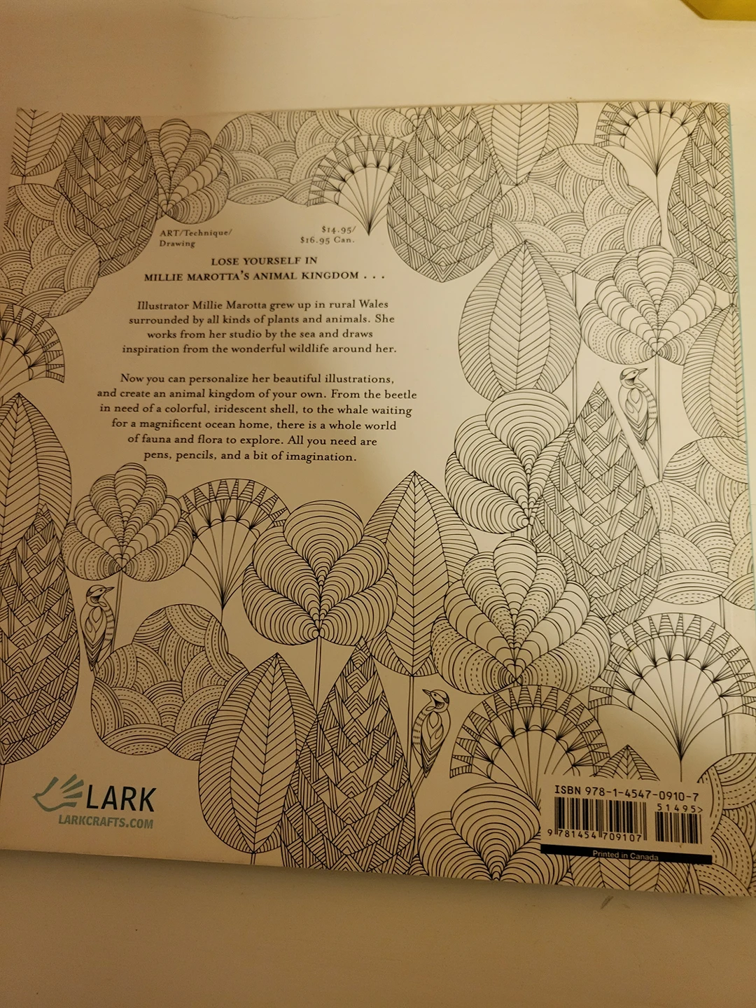 #freecycle Animal Kingdom colouring book. image indicator(2)