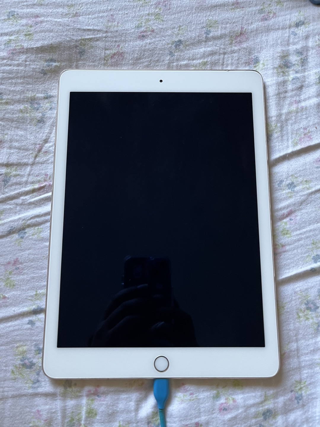 iPad Air 2 thumbnail