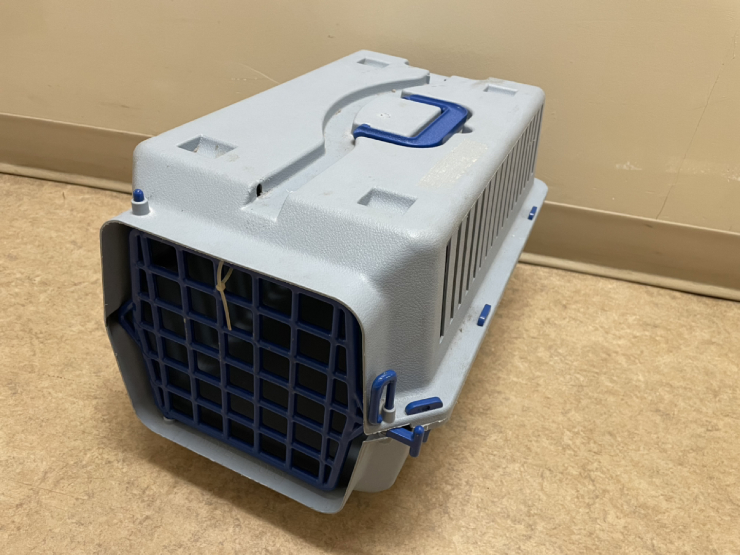Medium pet carrier thumbnail