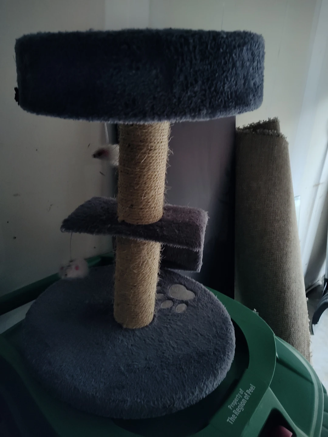 cat casle thumbnail