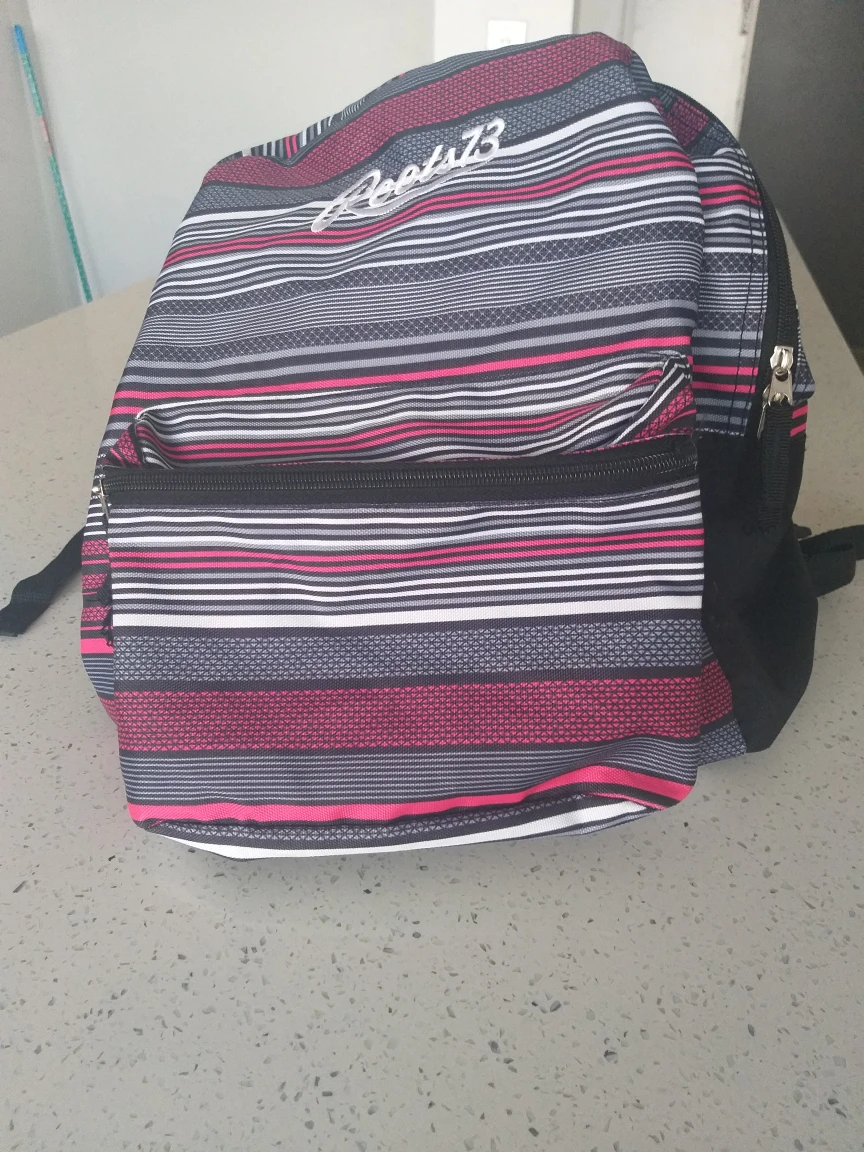Roots 73 Backpack #freecycle