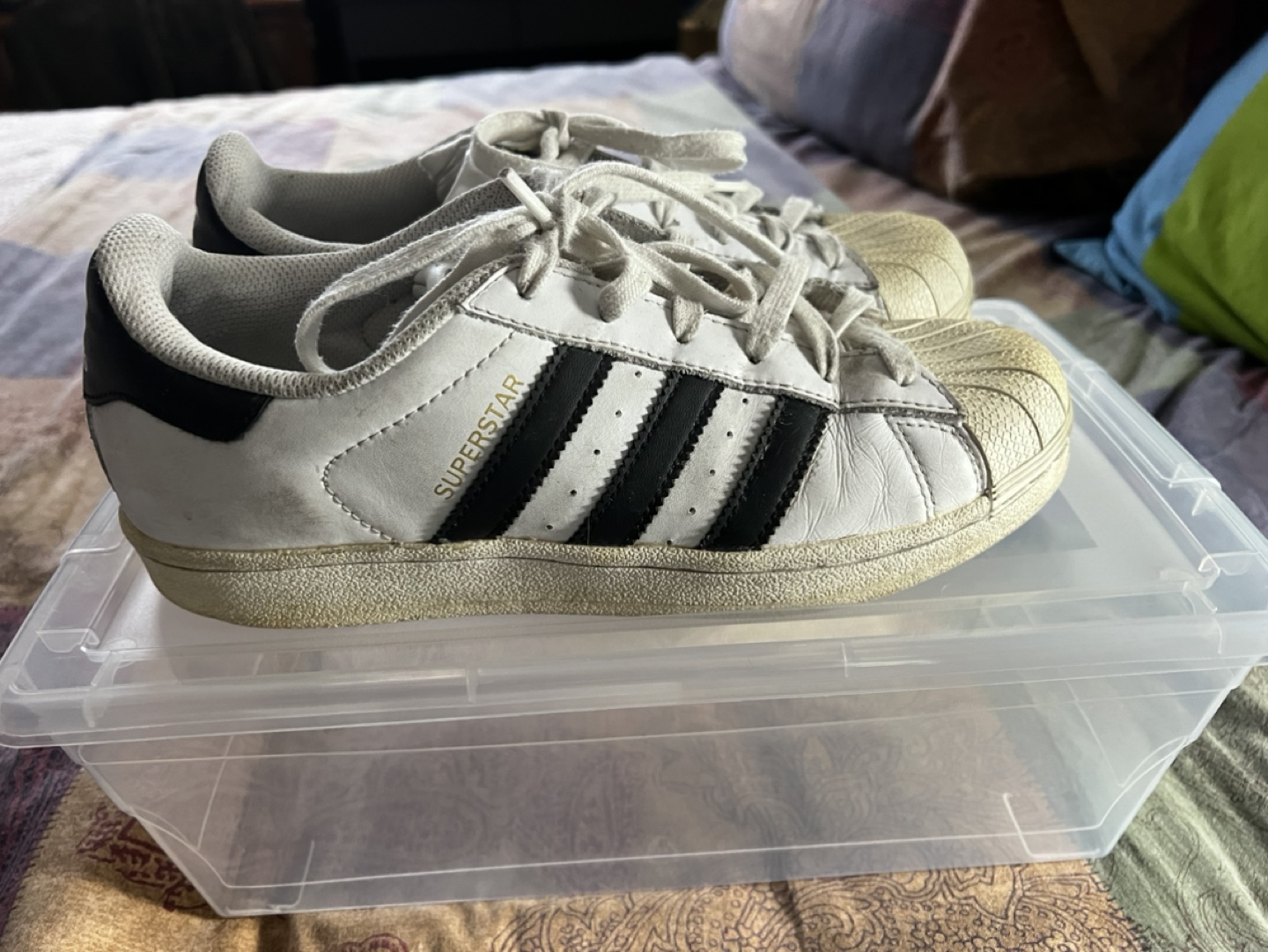 Ladies Adidas Superstar 7.5 - photo 3