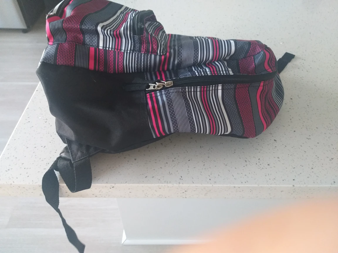 Roots 73 Backpack #freecycle - photo 2