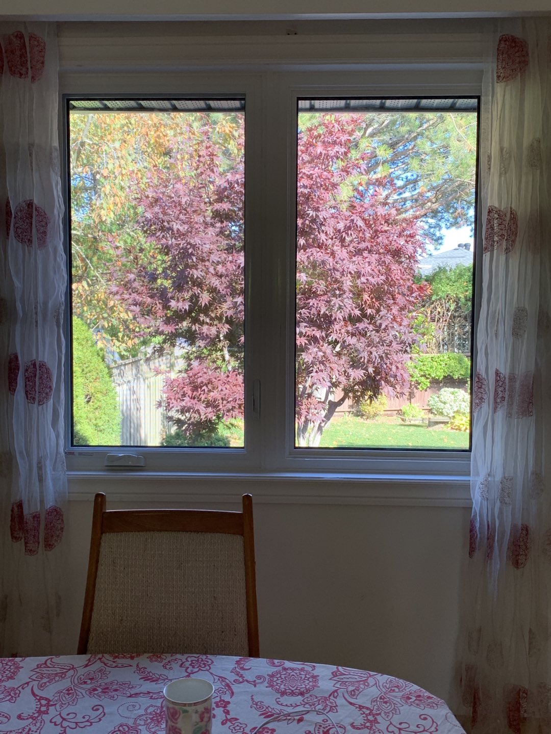 Sheer Curtains-2 Pairs #freecycle