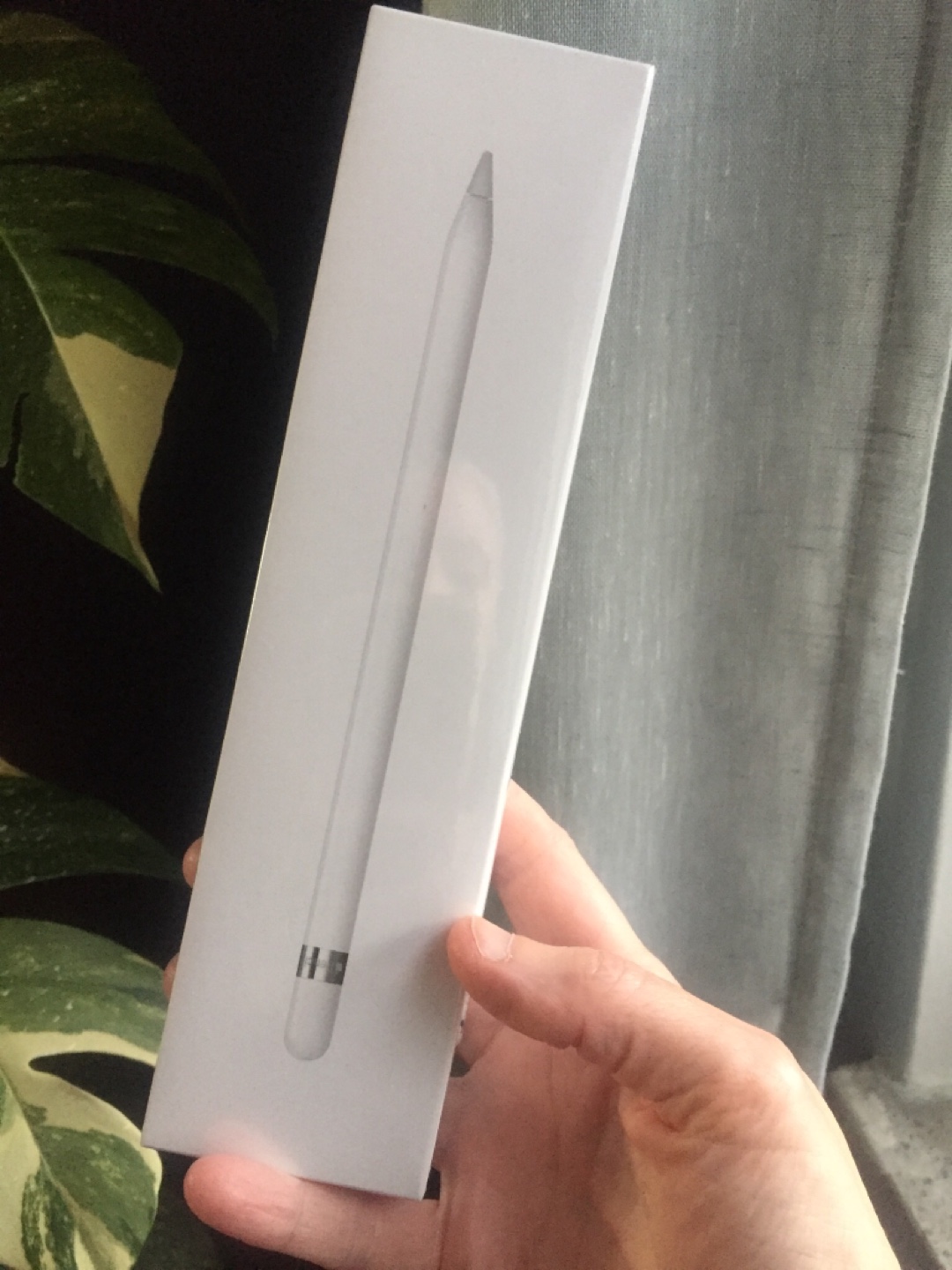 Apple Pencil (1st Generation)