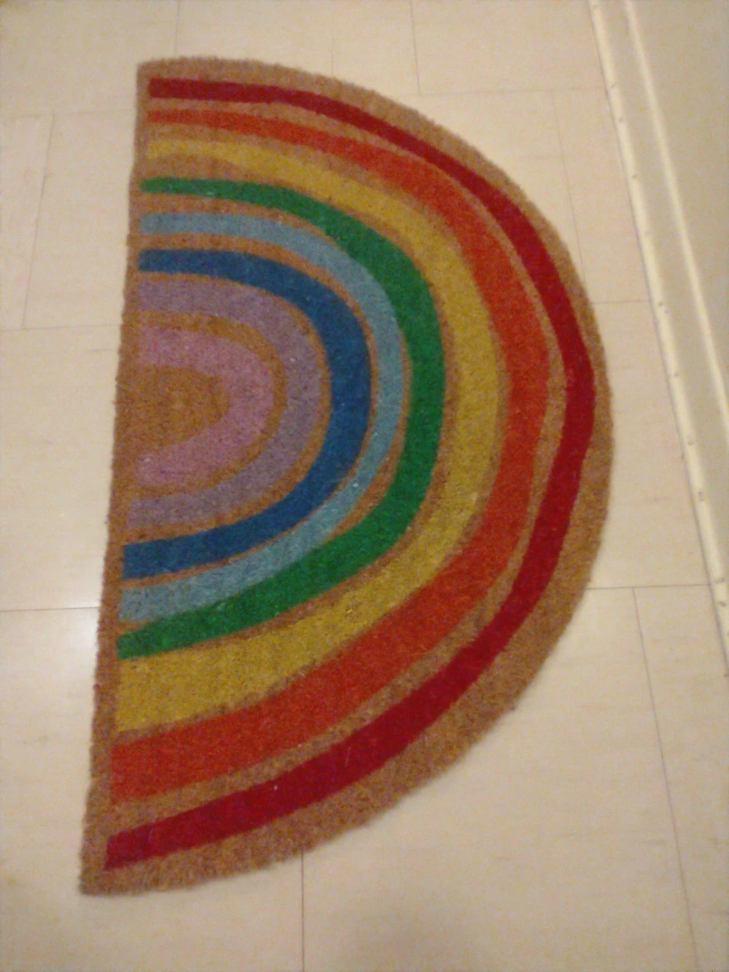 Door mat from Ikea $10 for both