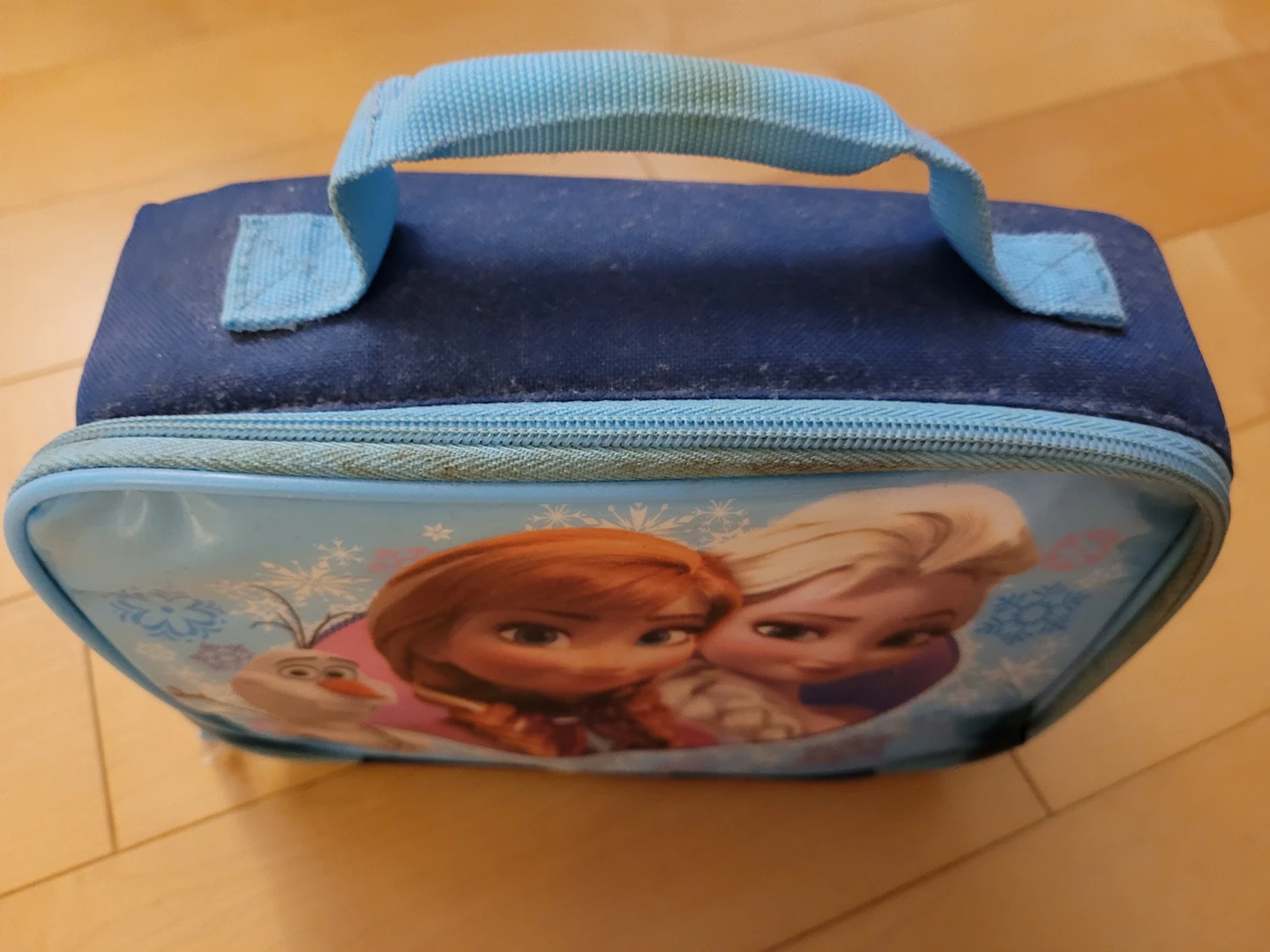 Frozen Lunch Bag #freecycle image indicator(2)