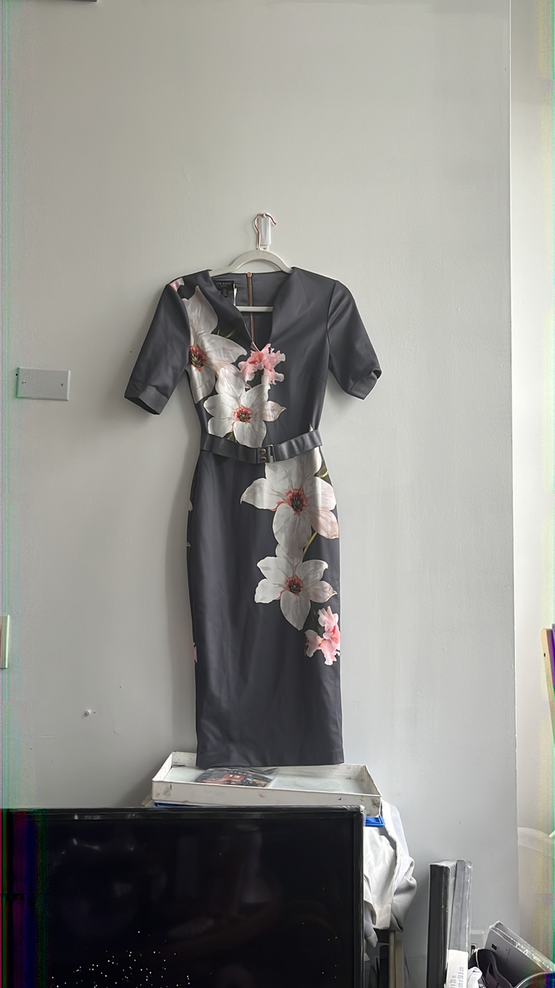 Ted Baker Dress