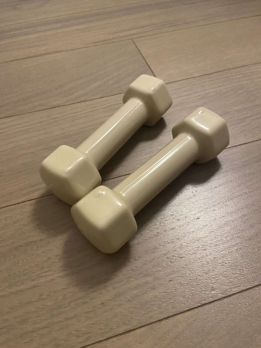 1kg dumbbell set
