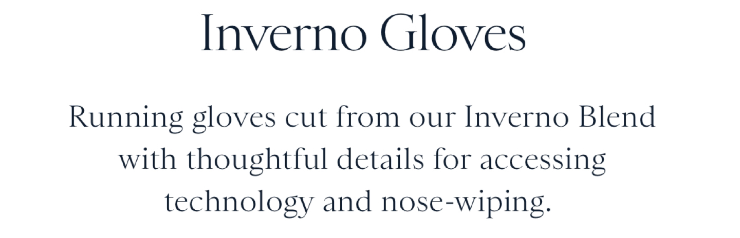 Inverno gloves: blue gloves image indicator(2)