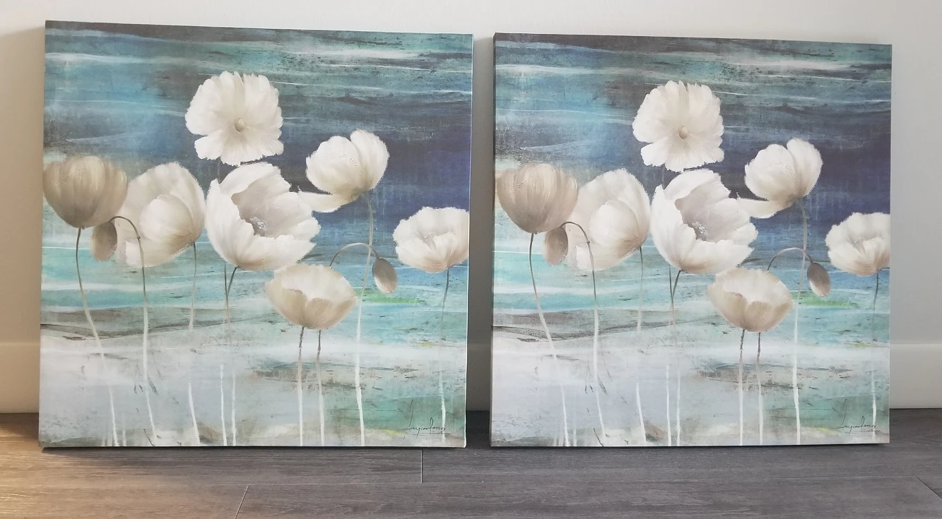Wall Art x2 Prints on canvas