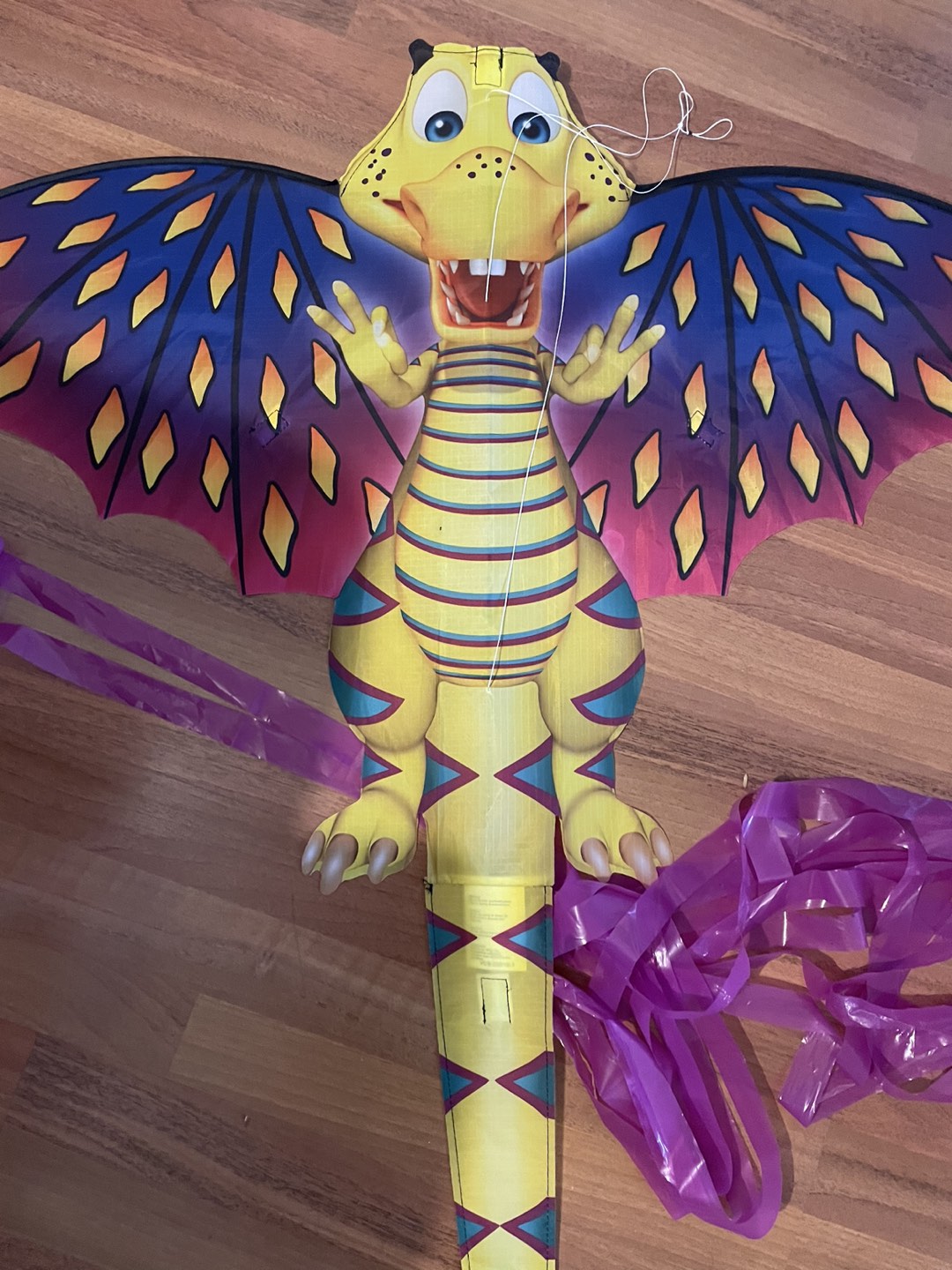 Large kite  #freecycle thumbnail