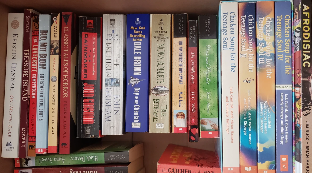 book sale - photo 3
