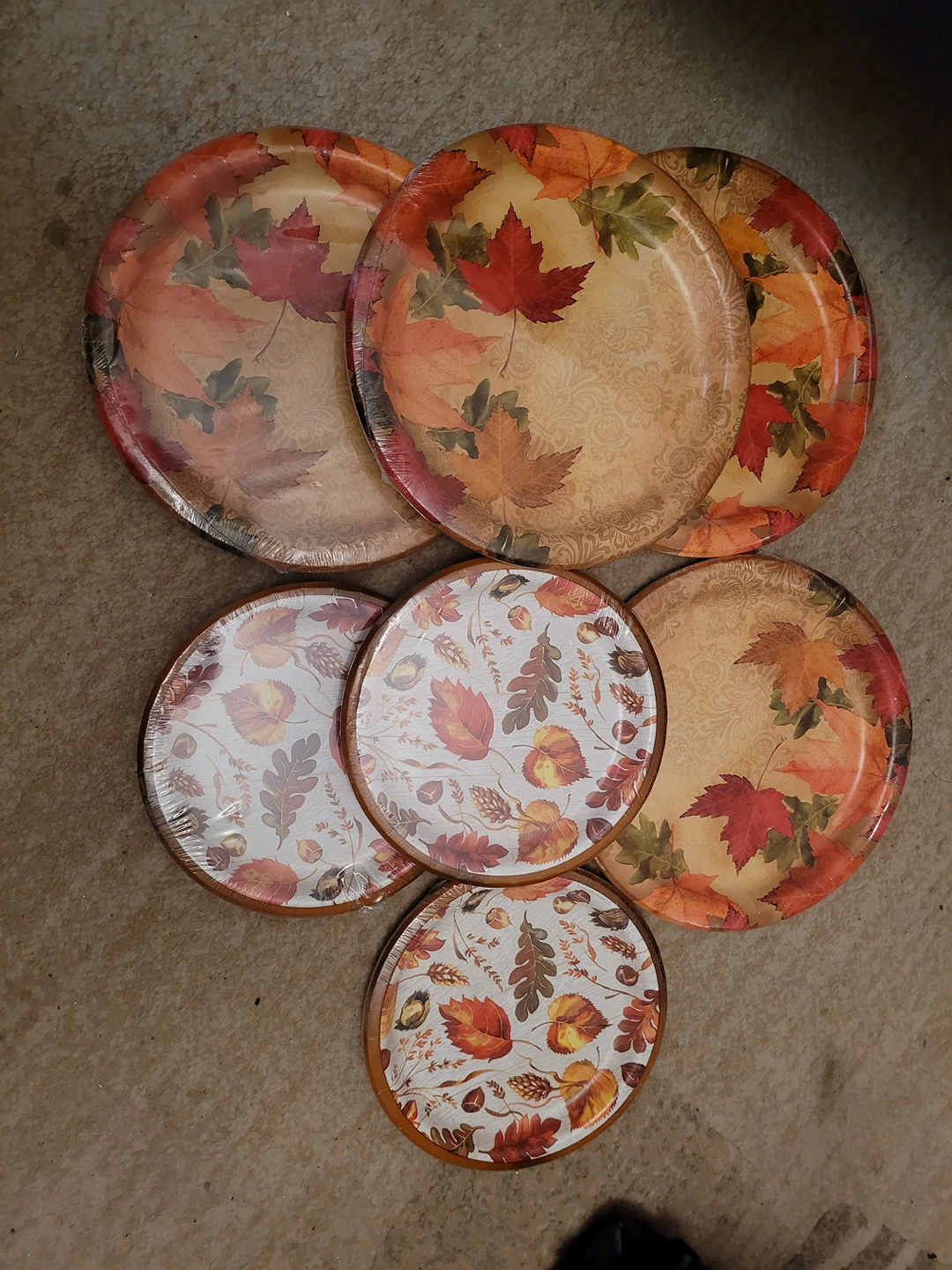 Paper Plate