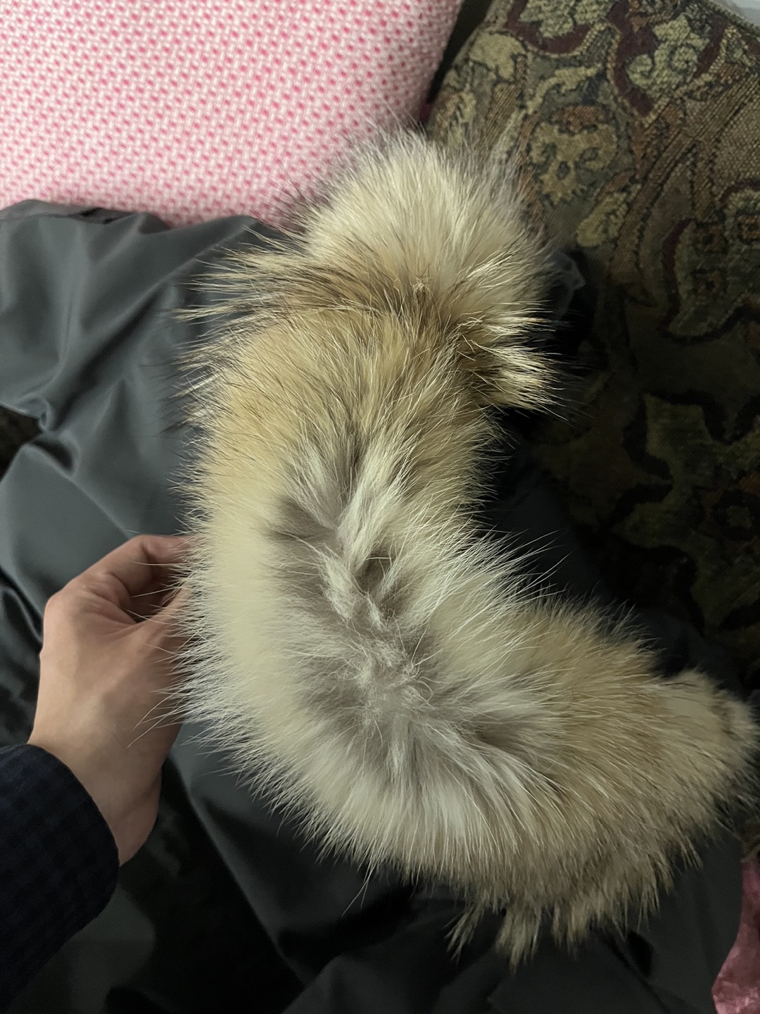 Canada goose men expedition parka image indicator(6)