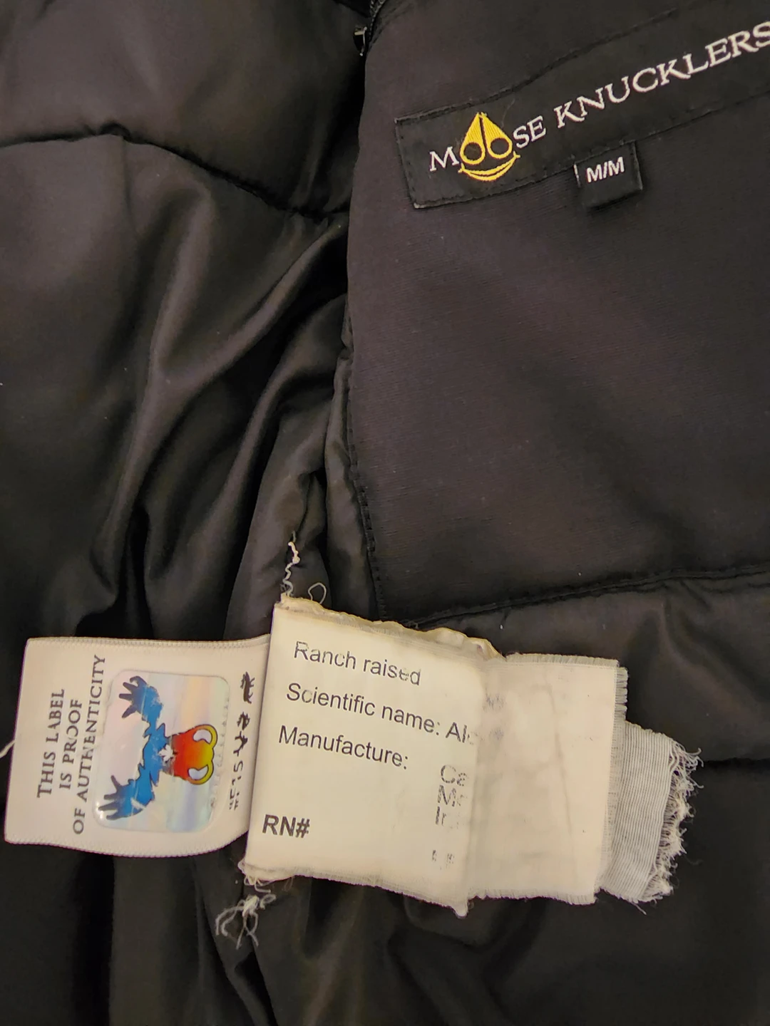 moose knuckles winter jacket - photo 3