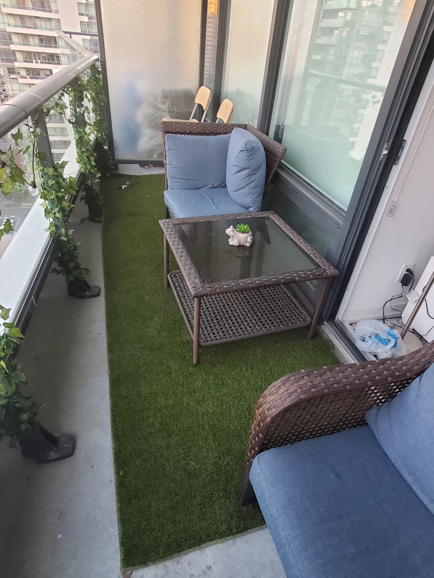 Beautiful Patio Grass (12 ft by 4 ft) - photo 3