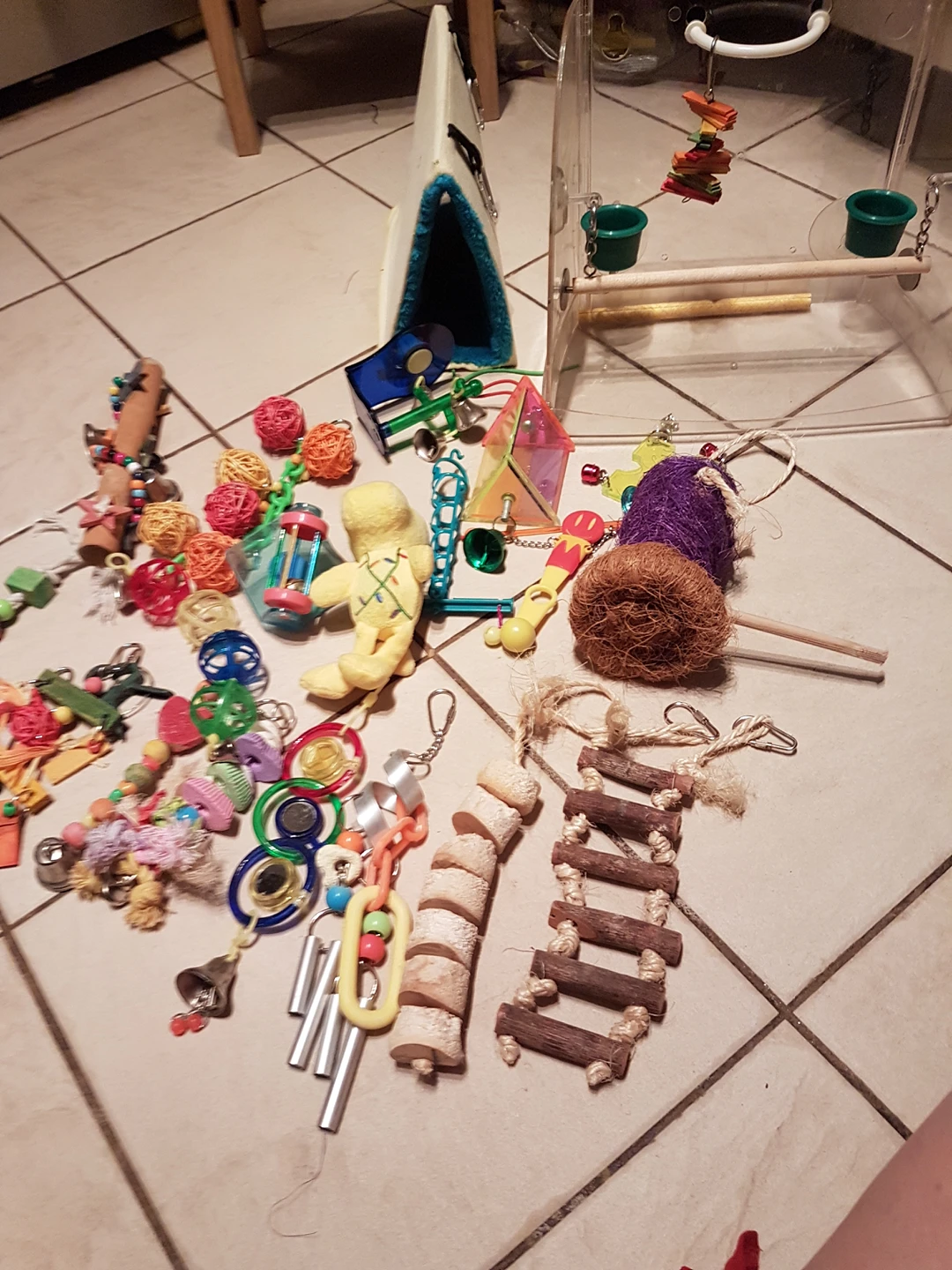 bird toys window perch hut flight suite and more thumbnail