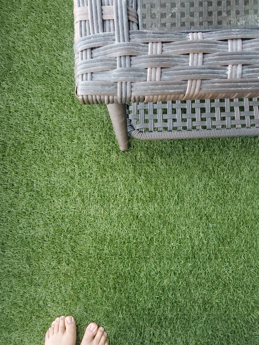 Beautiful Patio Grass (12 ft by 4 ft)
