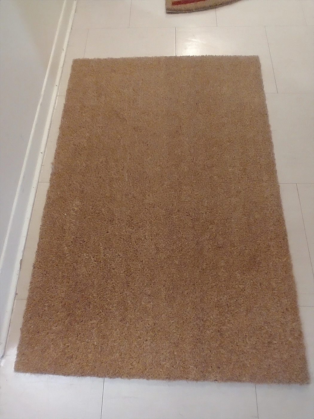 Door mat from Ikea $10 for both - photo 2