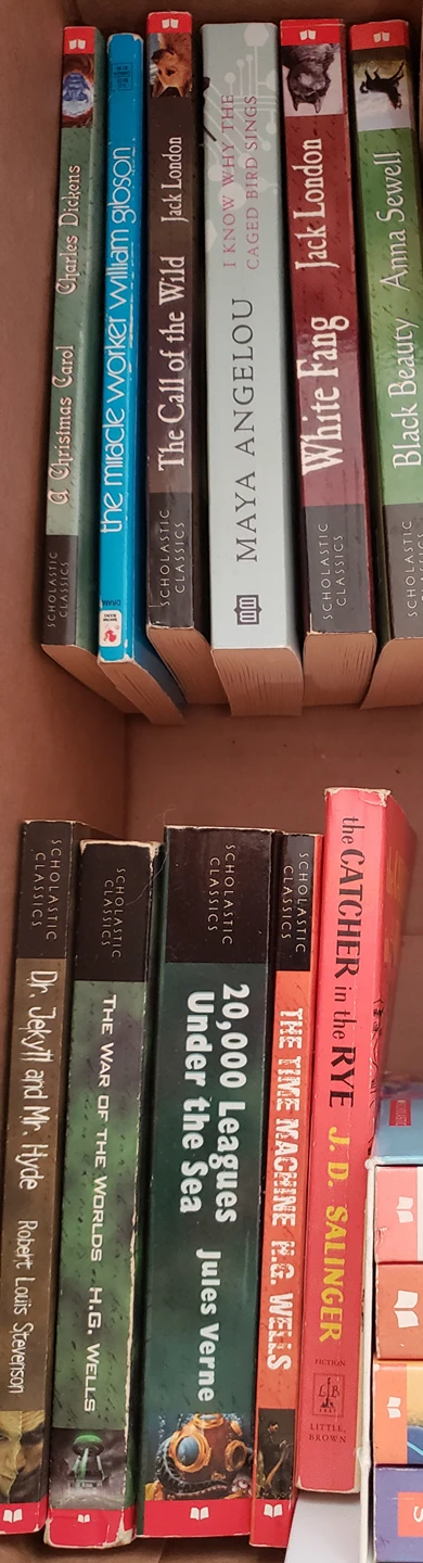 book sale - photo 2