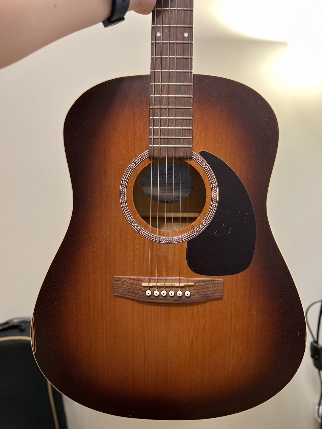 Seagull Acoustic Guitar(Entourage Rustic)