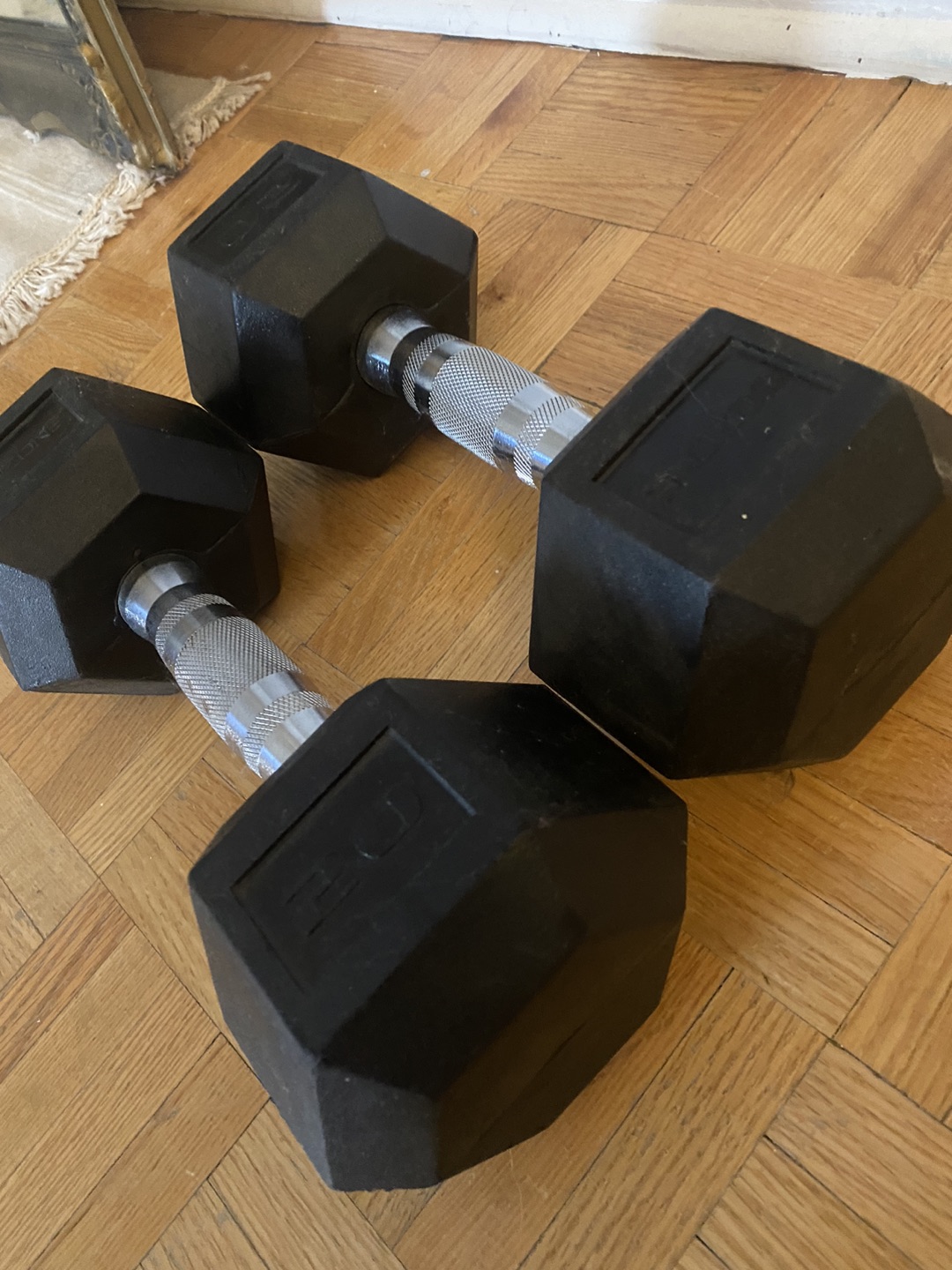 20lbs dumbbells (pair) thumbnail