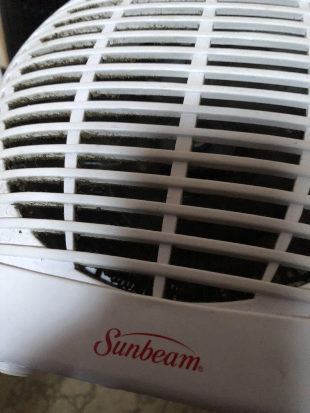 Sunbeam portable fan