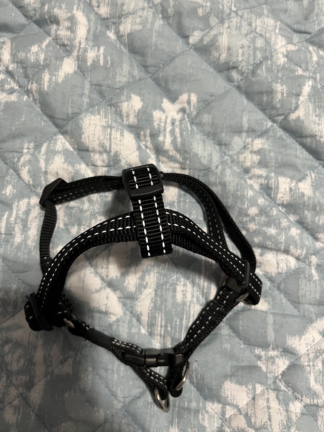 # Freecycle: Small dog harness thumbnail