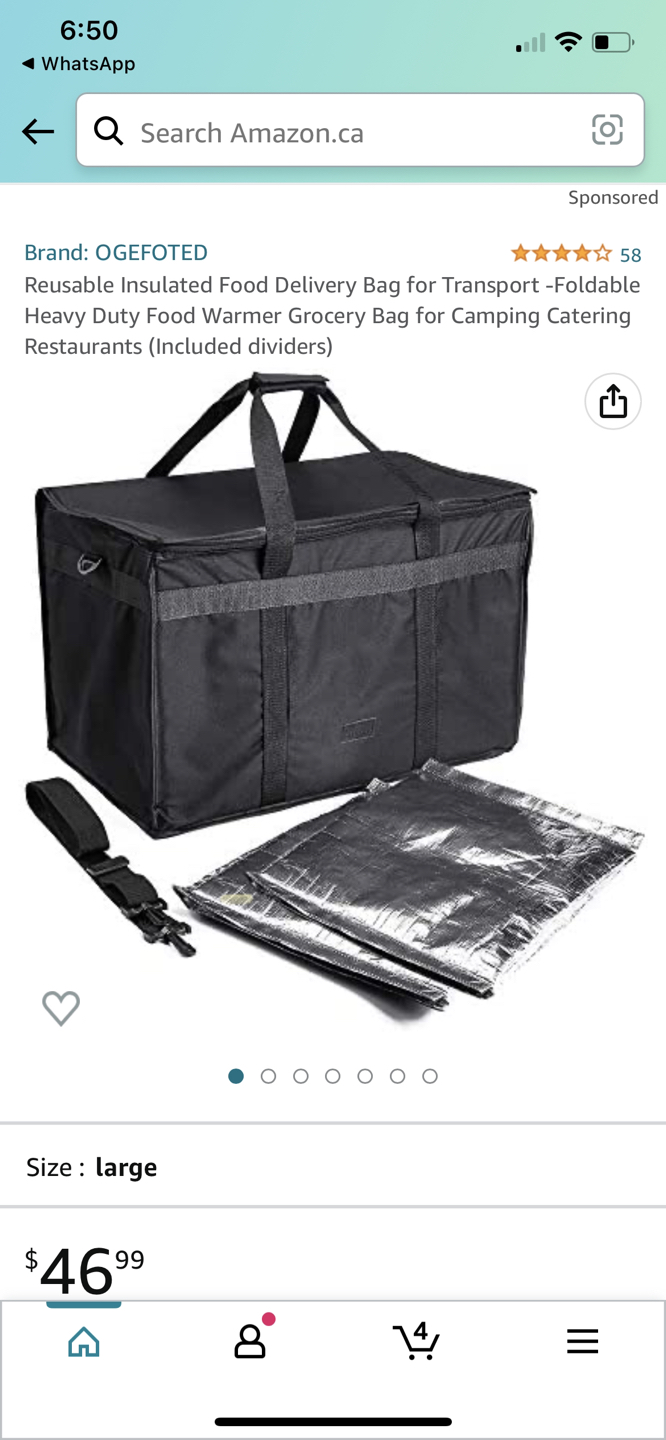 Food Delivery Bag💝 thumbnail