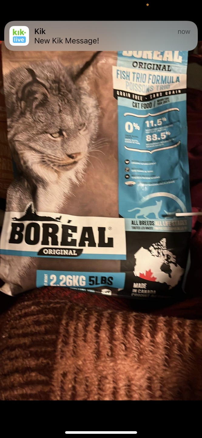 #freecycle Free cat food, bag open thumbnail