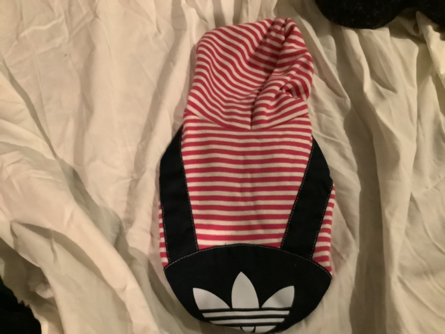 Addidadog Hoodie