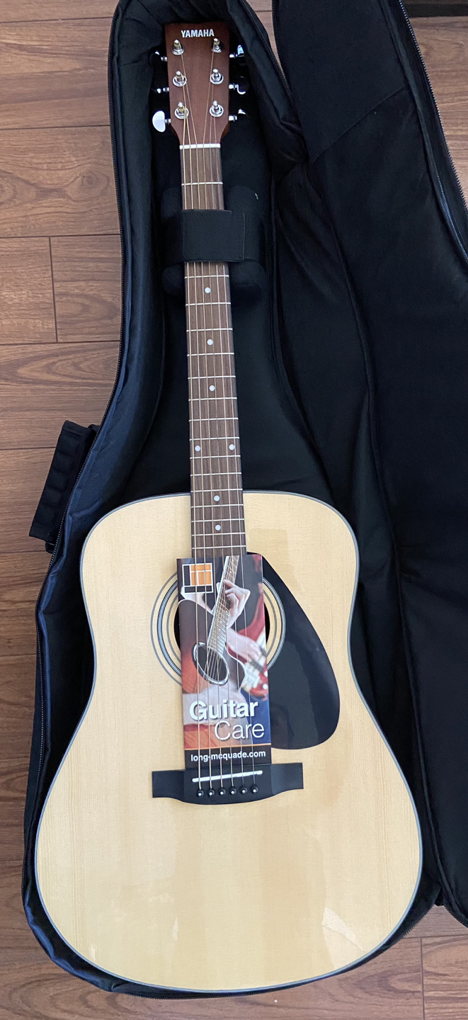 Guitar & Shoulder Carrying Case - NEW image indicator(4)