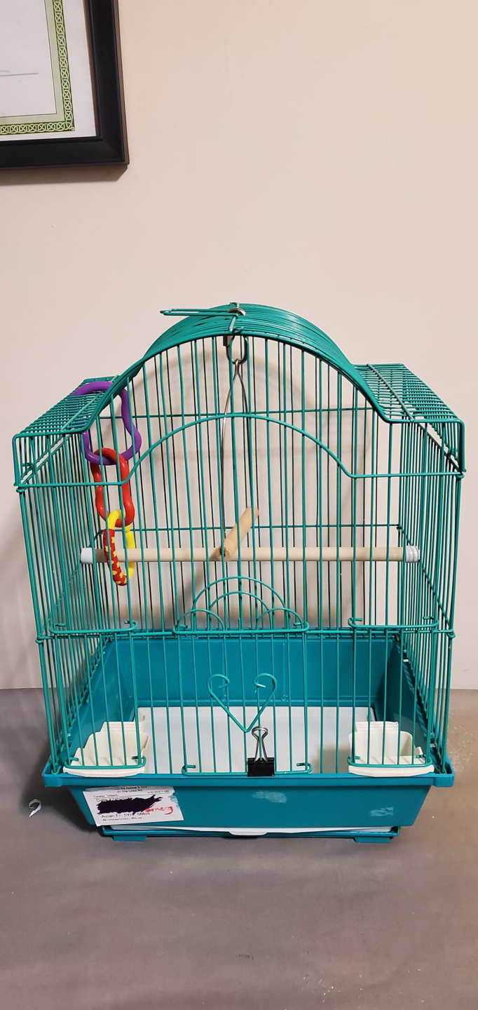 Small Bird Cage ⚽️ thumbnail