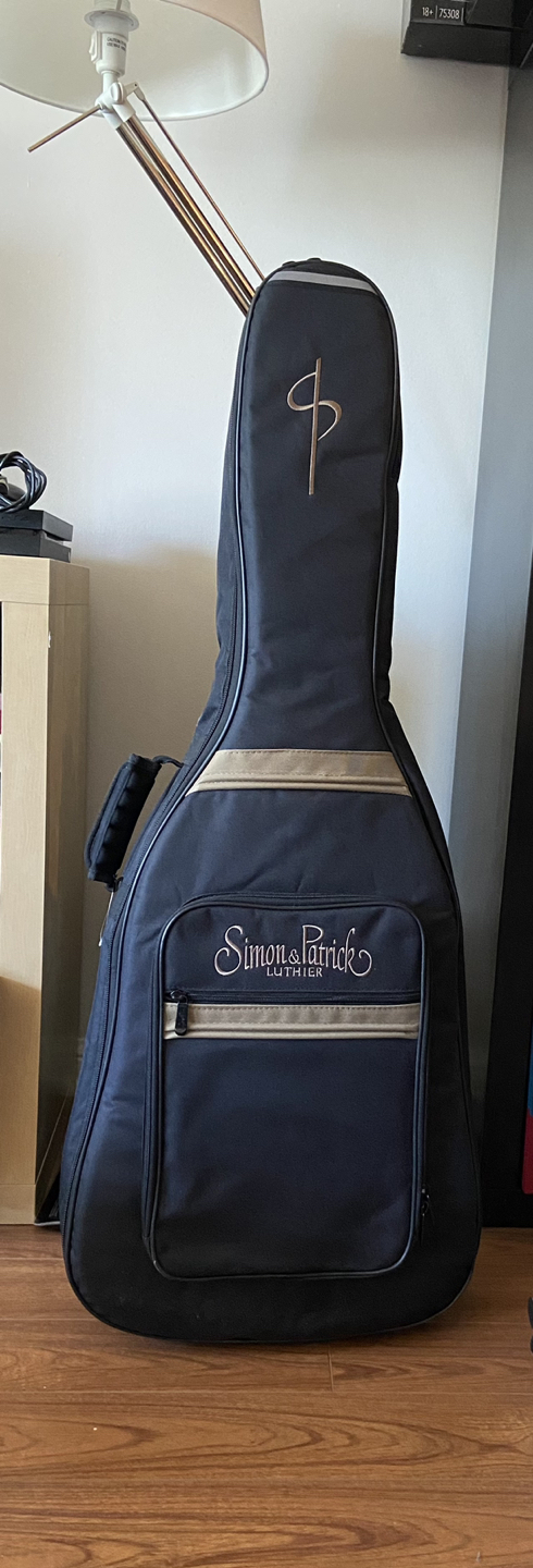 Guitar & Shoulder Carrying Case - NEW image indicator(7)