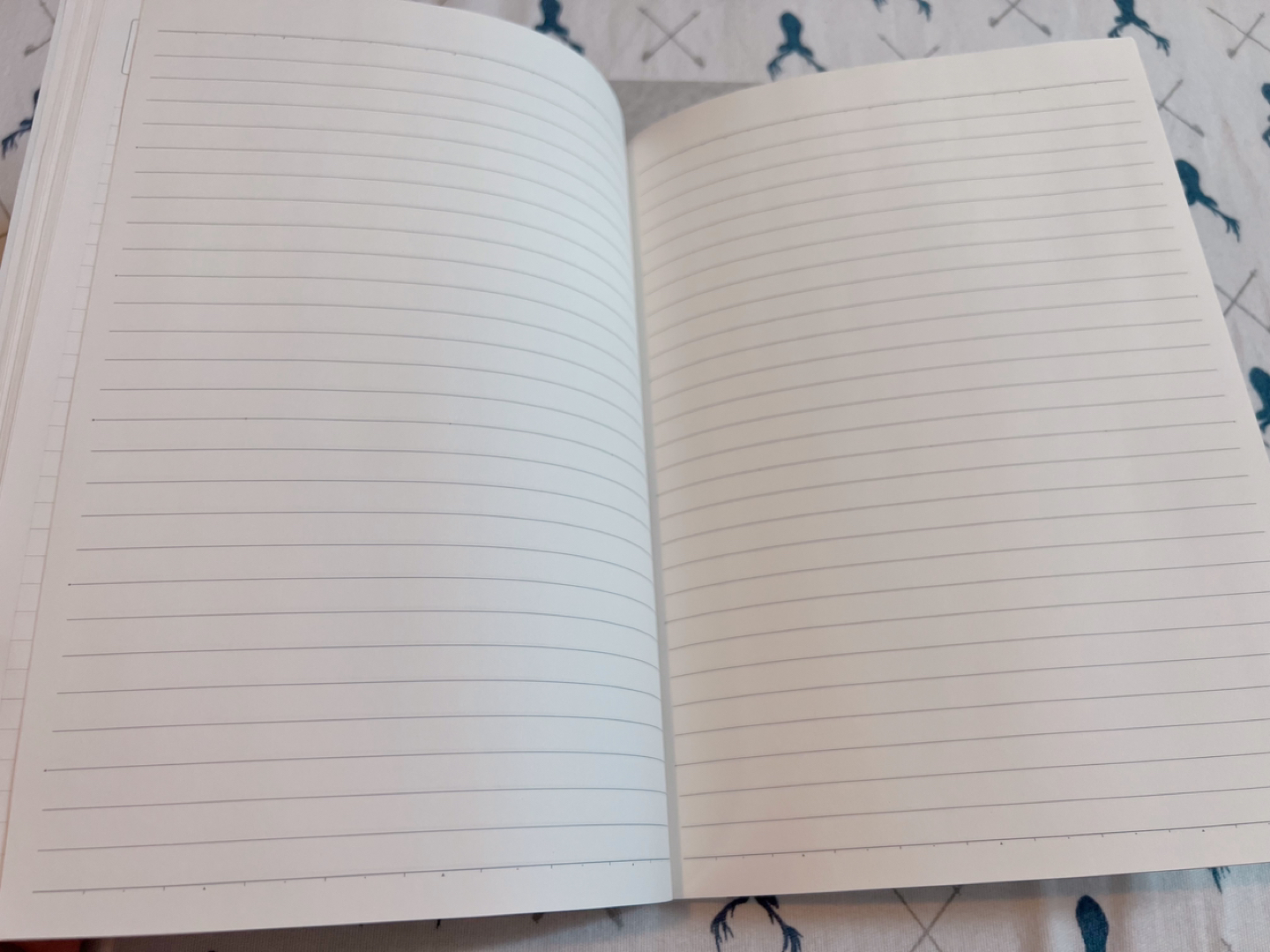 Kakuyo Campus Diary Free Schedule B5 24sheets 2 pack Brand New image indicator(5)