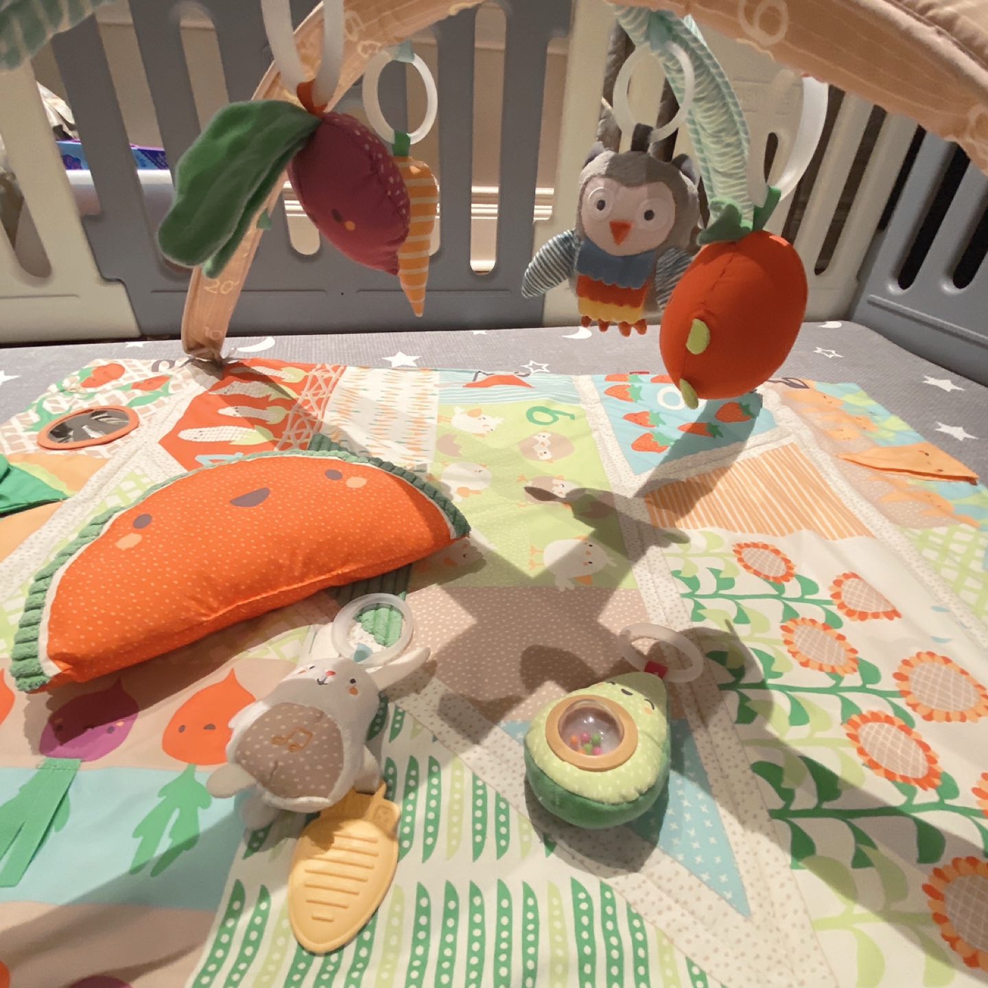 Skip hop play gym image indicator(2)