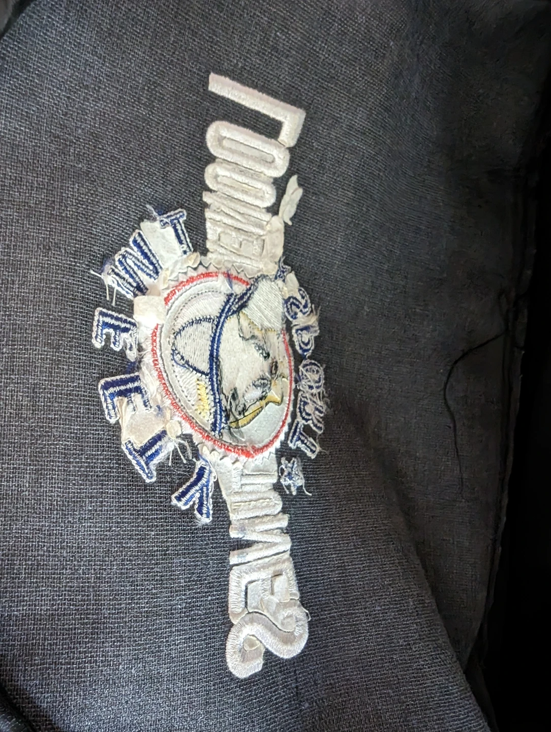 Vintage Looney Tunes Tweety Bird Leather Backpack image indicator(3)