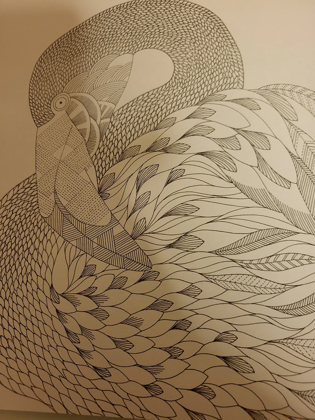 #freecycle Animal Kingdom colouring book. image indicator(3)