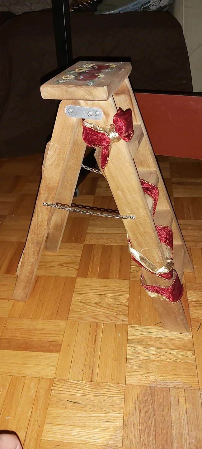 Mini Ladder 🪜