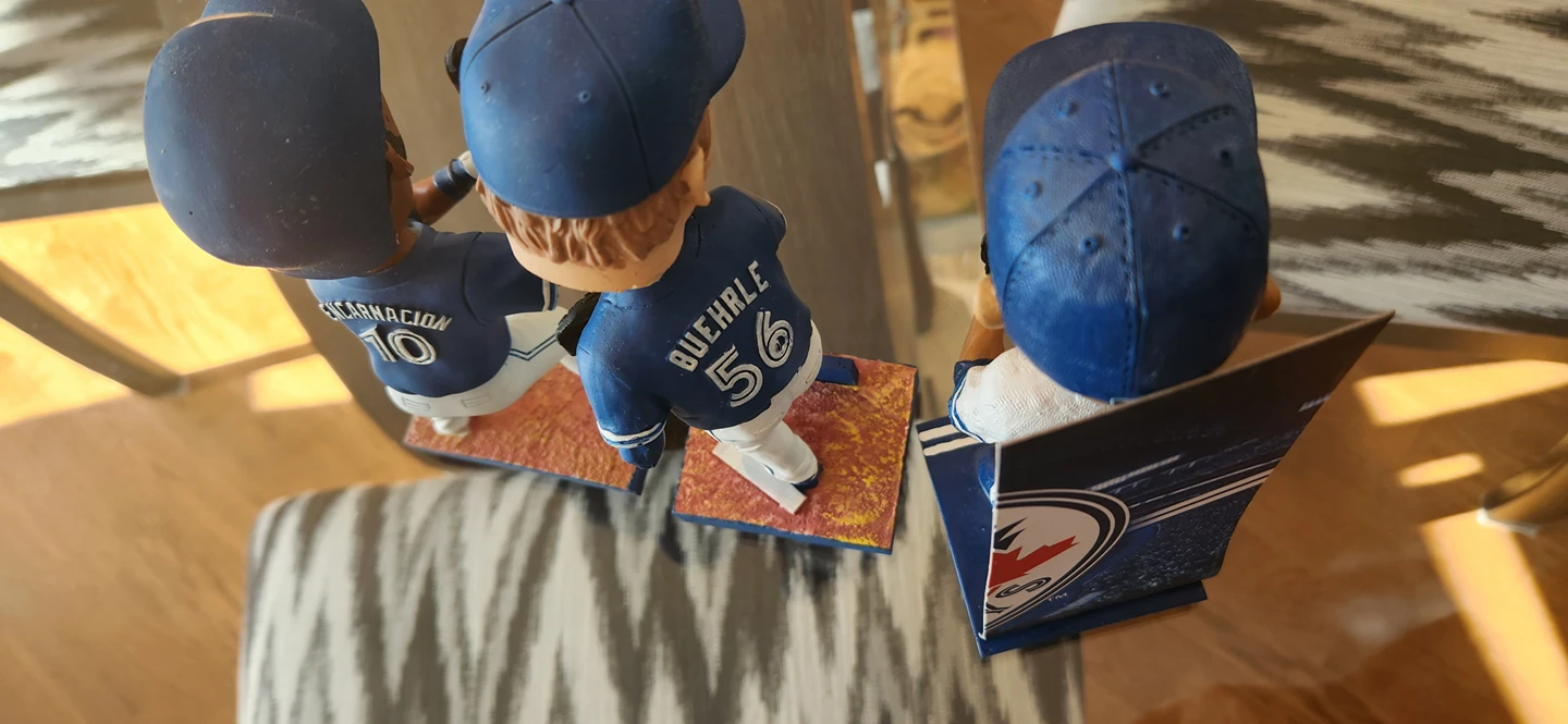 Free Blue Jays bubble heads #freecycle image indicator(2)