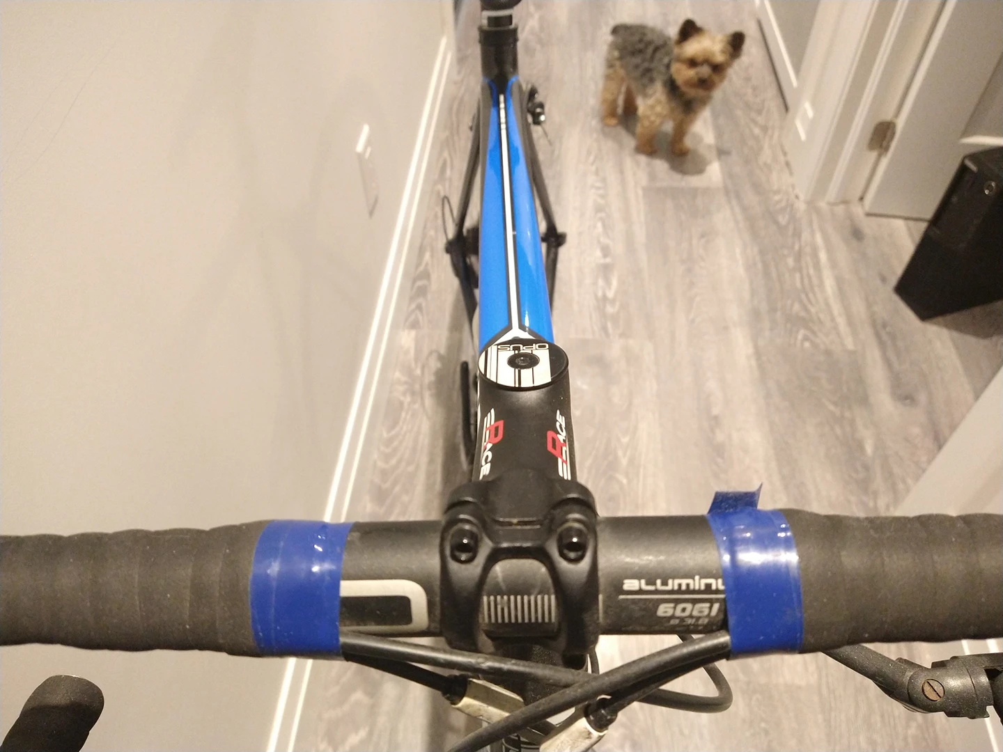 Opus Full Carbon 56" Frame Bicycle with Shimano 105 Groupset image indicator(5)