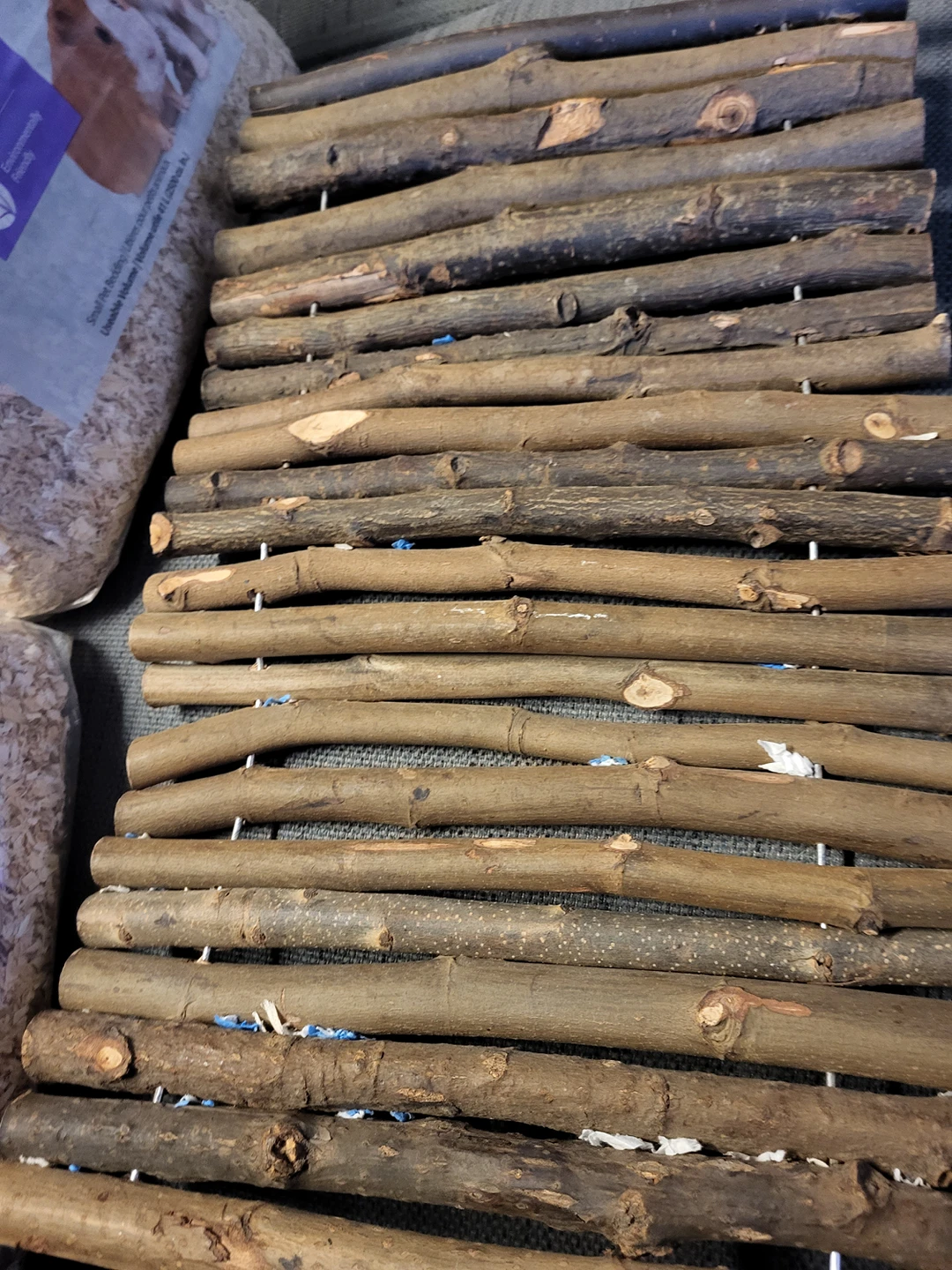 Hamster bedding and Ladder image indicator(4)