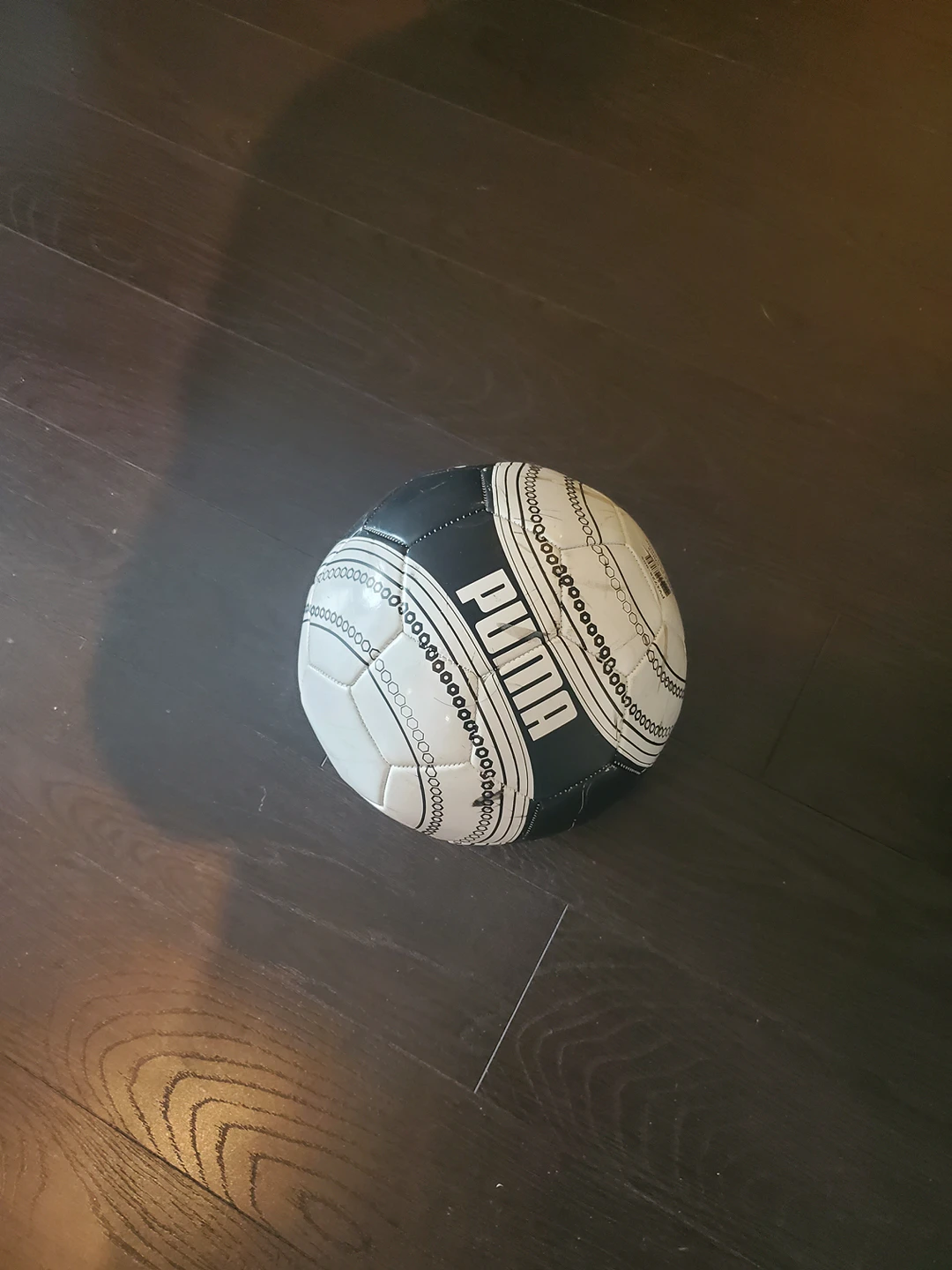 PUMA Regular Sized Football