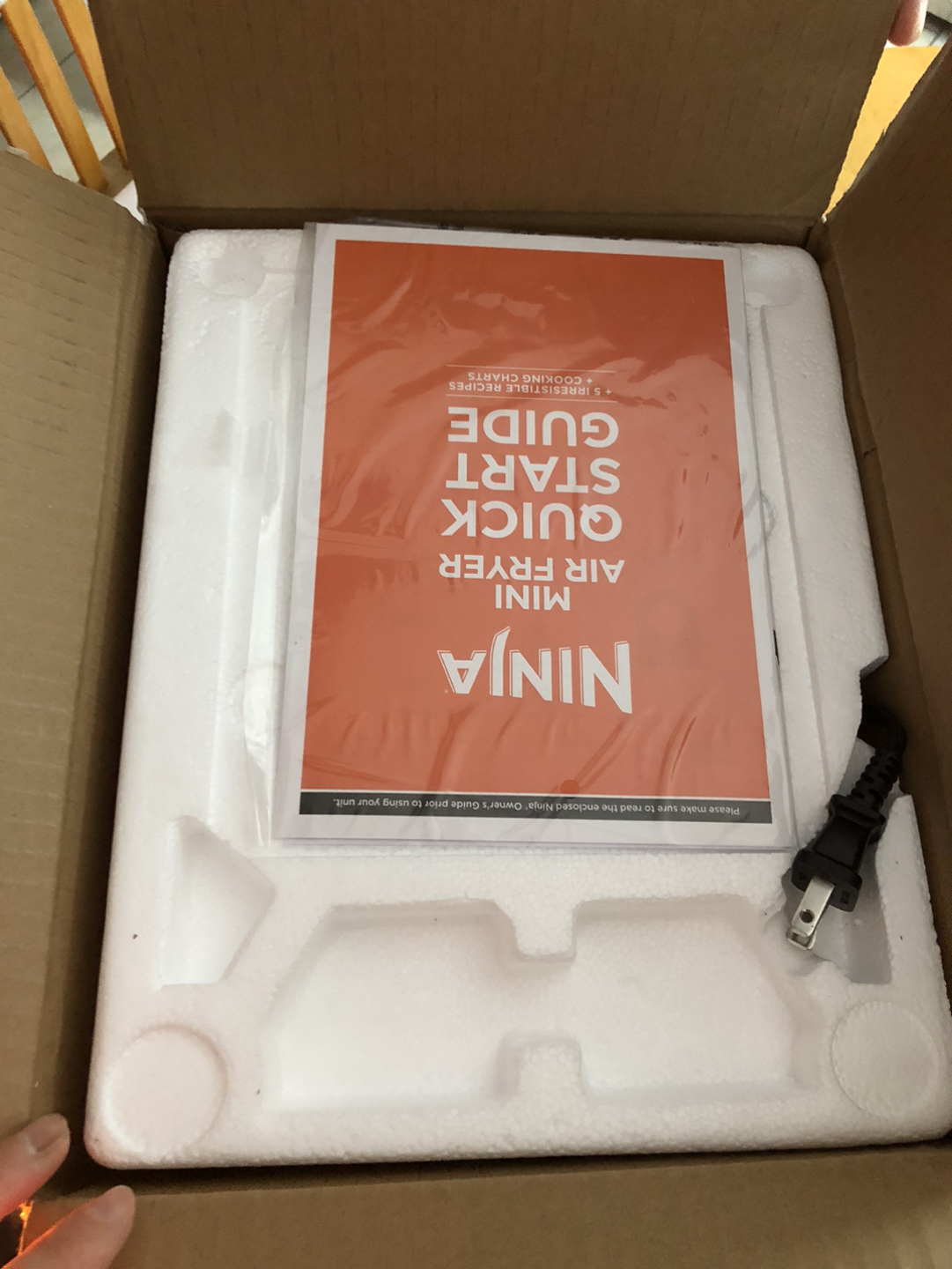 Ninja Air Fryer 2-QT